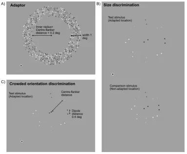 Figure 1. Schematic of the stimuli used in the size discrimination and crowded orientation discrimination tasks