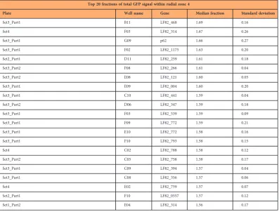 Table 5. Top 20 proteins with majority of GFP signal within radial zone 4.outermost portion of the cell, thus these proteins localise to the cytoplasm, plasma membrane or othercompartments associated with cell edges