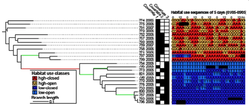 Figure 4 (after [135]). Eye and mouse trajectories in a visual search task: the participant was asked to identify the target (green square) on amap (not shown) and click on it