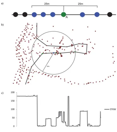 Figure 4. Spatio-Temporal Kernel Window statistics. a) The statistic is calculated by 