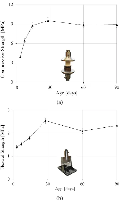 Fig. 5. Time evolution of mortar strength: (a) compressive strength; (b) flexural strength