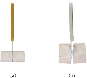 Fig. 9. Cracking failure mode obtained for: (a) two specimens of M2-SS1-50; (b) a specimen of M2-SS1- M2-SS1-100