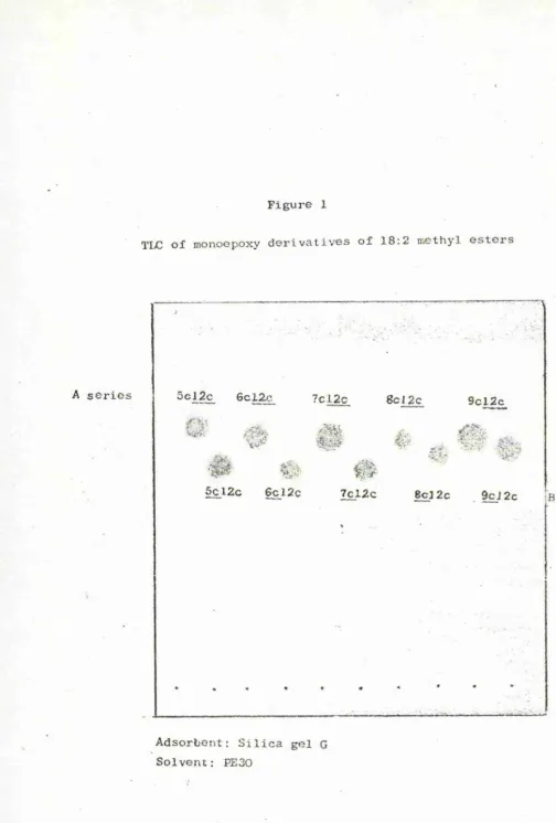 Figure 1TIC  o f  monoepoxy d e r i v a t i v e s  o f  1 8 :2  m eth yl e s t e r s
