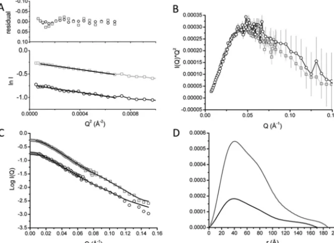 Figure 2. SANS data analysis of MtrCAB in 20 mM HEPES pH 7. 8, 100 mM NaCl, 13% D2O, 2.8 mM Fos-choline-12, at 3.5 (black) and 9.7 (gray) mg/ml