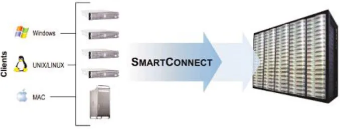 Figure 2 - SmartConnect with Dynamic NFS Failover and Failback 