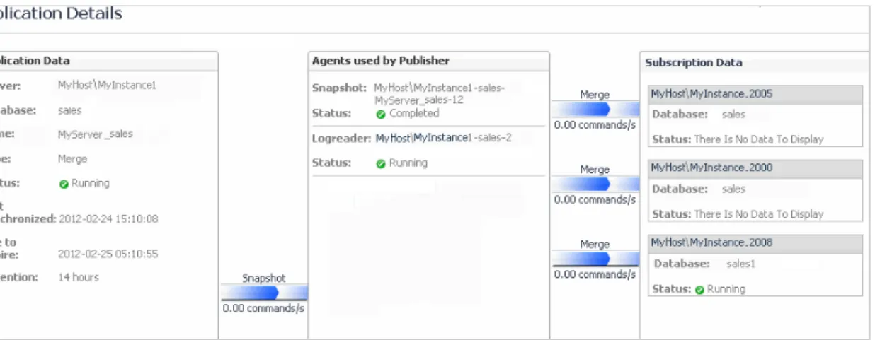 Figure 8. The Publication Details screen.