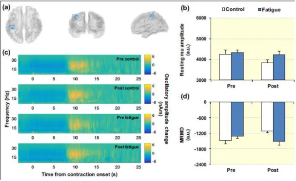 Figure 3. (a) Locations of peak MRMD during the 40%MVF b  test contractions for each 