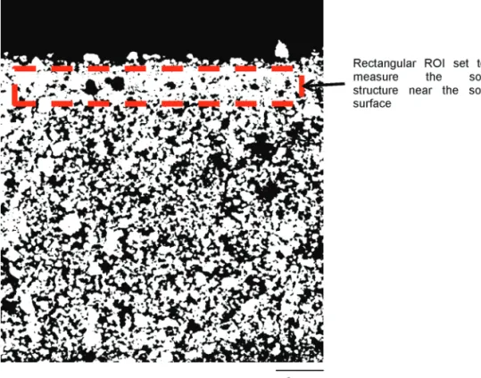 Fig. 1. Example of a thresholded soil micro-CT image: A typical region of interest (ROI) cannot  capture the complexity of the soil surface even when located very near the surface.