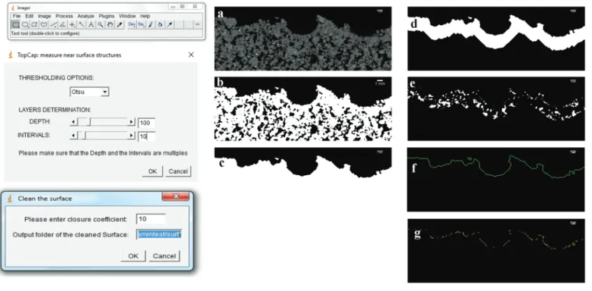 Fig. 2. Presentation of TopCap: different outputs after selecting options from the graphical user interface (GUI) (on the left side screenshot of the GUI):  (a) original grayscale CT image of soil; (b) segmented image by thresholding using the Otsu algorit