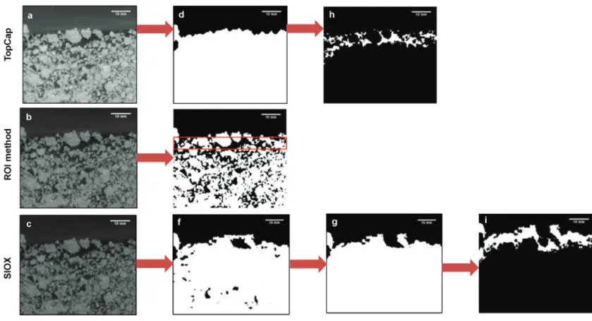 Fig. 4. Evaluation of soil surface detection and measurement of porosity by TopCap, the region of interest (ROI) approach, and Simple Interactive  Object Extraction (SIOX): (a,b,c) the original grayscale images are converted to a binary mask by (d) TopCap,