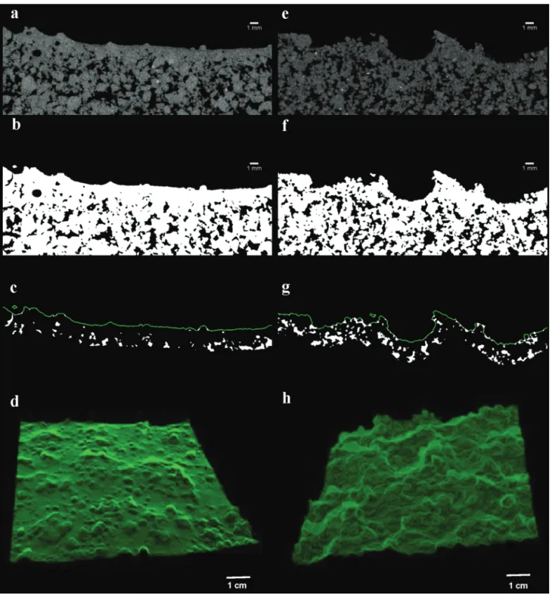 Fig. 6. Test of TopCap on a silty clay loam (left) and a sandy loam (right): (a,e) X-ray CT image of the soil (the pore space is in black); (b,f ) thresholding  using the Otsu method to separate the pores from the soil matrix to obtain a binary image, with