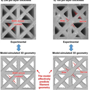 Fig. 9. Experimental and modelled compressive moduli versus layer thickness.FEA was used to simulate compressive modulus according to the idealised CADmodel (hollow circles) and the 3D-geometry-model predicted by VOLCO(hollow squares)