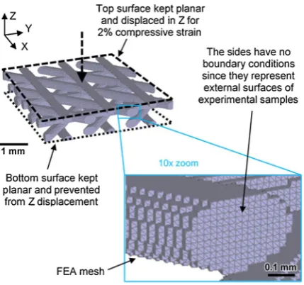 Fig. 4. The mesh and boundary conditions used in FEA simulations.
