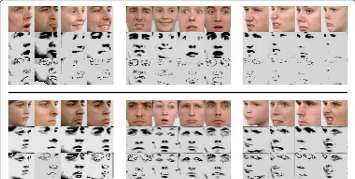 Fig. 7 Above the line: feature maps in facial recognition. Below the line: feature maps in emotion recogni-tion