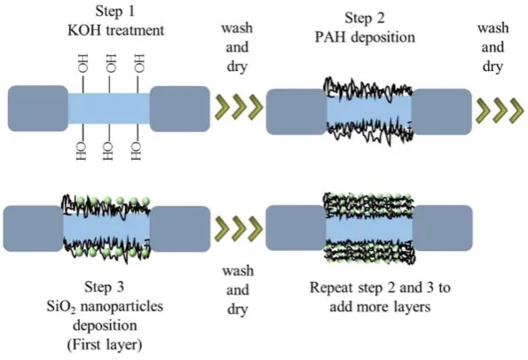 Figure 1. Layer-by-Layer deposition process. 