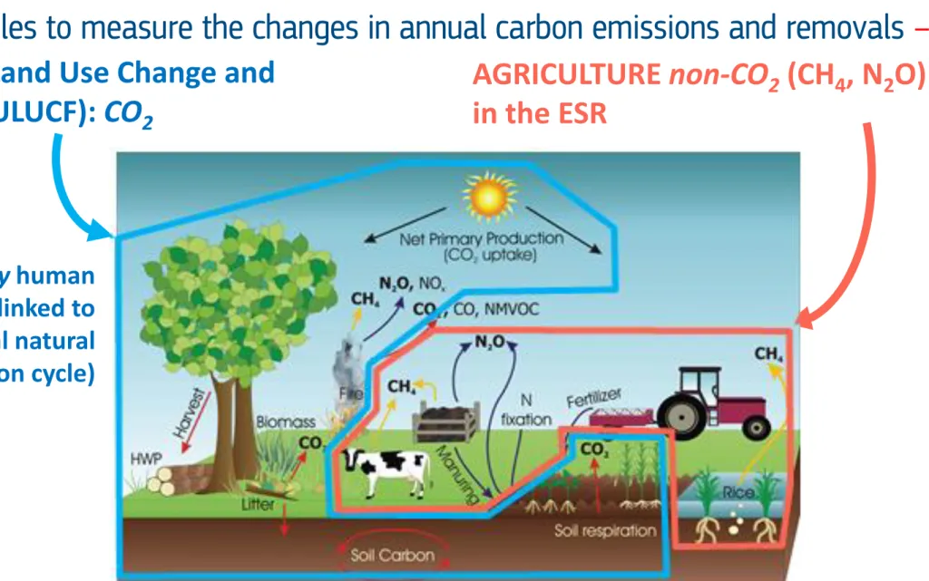 Figure source: IPCC 2006. Data: EEA 2019 (2017 GHG inventory)