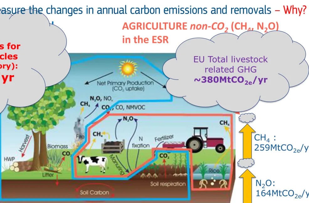 Figure source: IPCC 2006. Data: EEA 2019 (2017 GHG inventory)