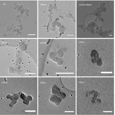 Fig. 5. Untilted TEM images of the nine soot particles studied in this section. Scale bar equal to 100 nm.