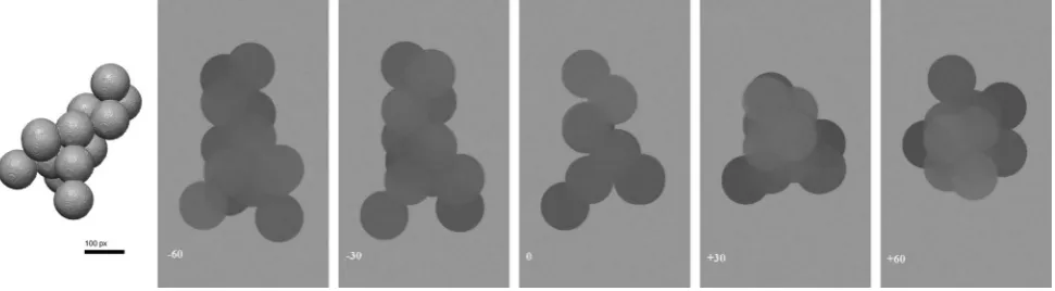Fig.7. Three-dimensionalrenderingofsyntheticparticle‘random12’,andTEM-style2Dprojectionsfromthesimulatedtiltseries(tiltaxisrunshorizontallythrough the particle in the plane of the page).