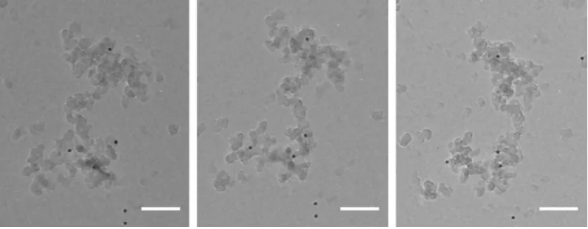Fig. 1. TEM projections of flame-generated soot particle captured at −30°, 0° and +30° tilt angles