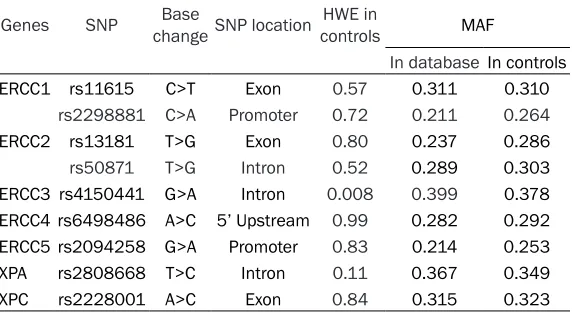 Table 2. Detailed information of nine SNPs in NER pathway