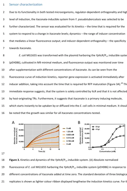 Figure 3. Kinetics and dynamics of the YpItcR/Pccl inducible system. (A) Absolute normalized 