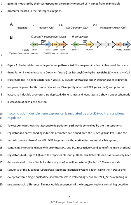Figure 1. Bacterial itaconate degradation pathway. (A) The enzymes involved in bacterial itaconate 
