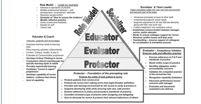 FIGURE 1 Preceptor roles and responsibilities.
