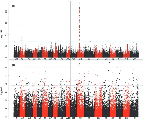 Figure 4. Association analysis.cannot be assigned are shown as light points, whereas simple SNP markers (i.e