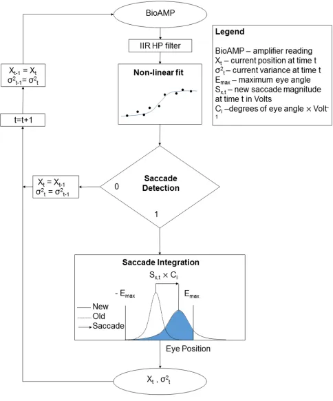 Fig 3. Model scheme.