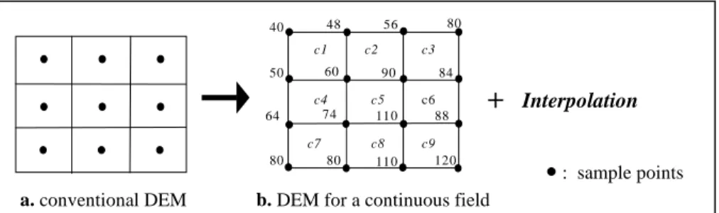 Fig. 1. Example of a DEM for continuous fields 