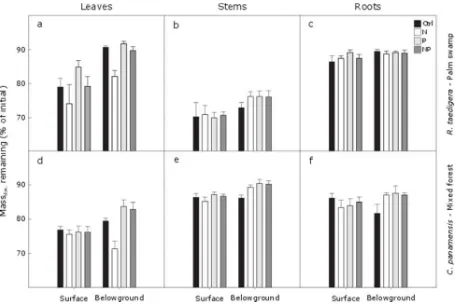 Figure 6 Mass remaining (%) of R. taedigera (palm swamp species) and C. panamensis (mixed