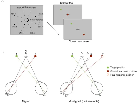 Figure 1. (A) Stimulus positions and schematic of tasks. Thirty-two locations were tested (4 eccentricities 3 8 polar angles, shown indegrees)