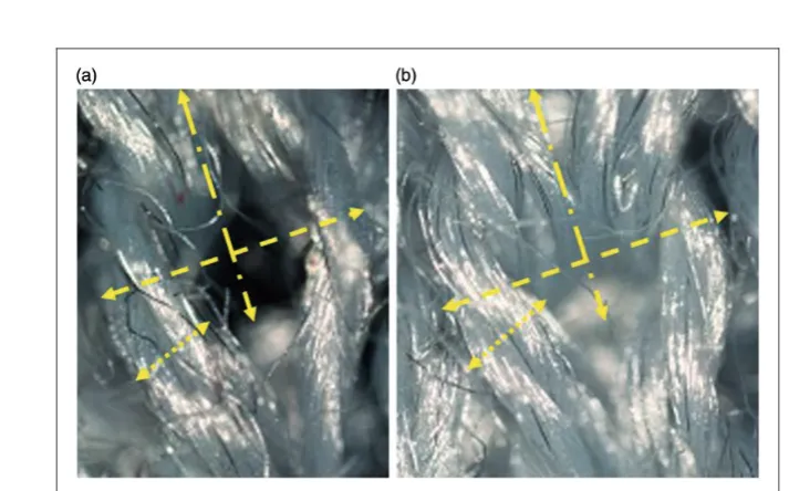 Figure 7. Analysis of the dimensions of the stitch for the SP29 (a) before and (b) after preconditioning