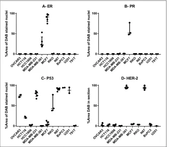 Figure 3. Quantification of the immunohistochemistry staining in the multi-cell-line array