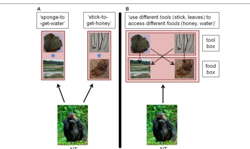 FIGURE 2 | Comparison of a representational system whereindividuals build independent representations (A) or can re-organizearrows: act of mentally representing