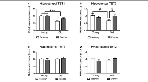 FIGURE 1 | Impact of exercise and aging on5–6, and old exercise(A,B) TET1, TET2 expression in the hippocampus and hypothalamus