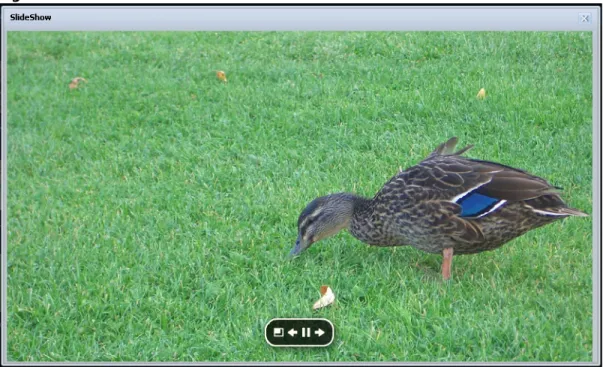 Figure 24   Slideshow