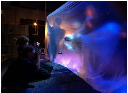 Figure 1: Croak ”swims” under the water. The effect is made with the help of a transparent and thin sheet of plastic  