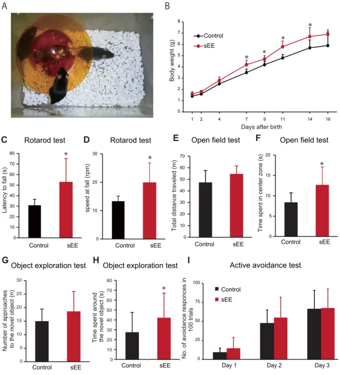Fig. 1. Watanabe J. et al. Experimental Animals