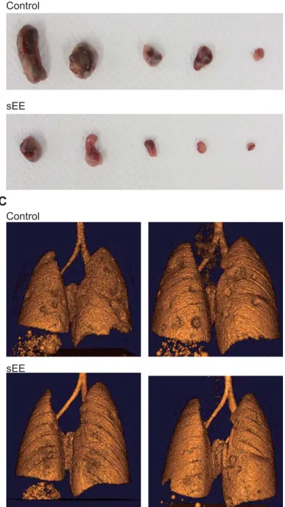 Fig. 2. Watanaeb J. et al. Experimental Animals