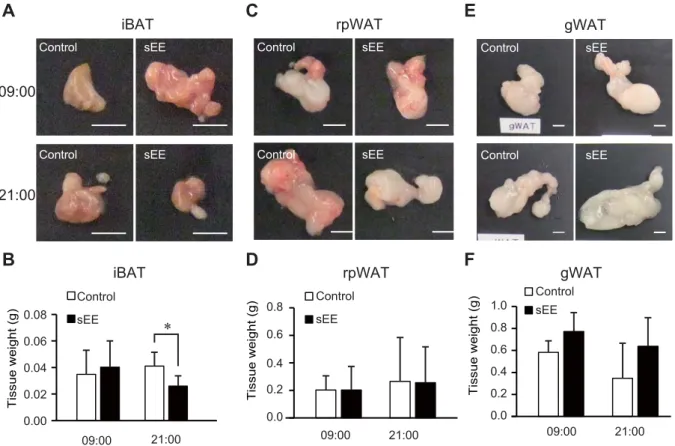 Fig. 4. Watanabe J. et al. Experimental Animals