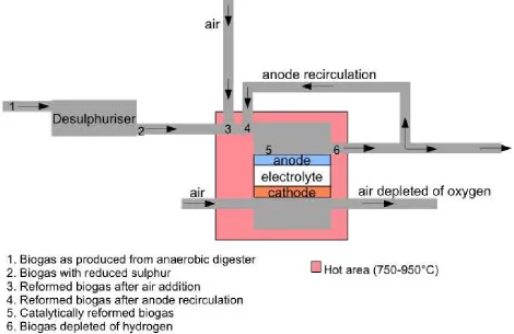 Figure 2. Schematic representation of an SOFC system detailing the significant points in fuel gas composition