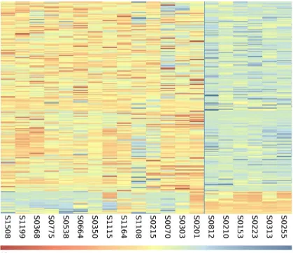 Figure 1. Heatmap of the 206 differentially methylated CpG sites between the clinical outcomes of HR-NMIBC