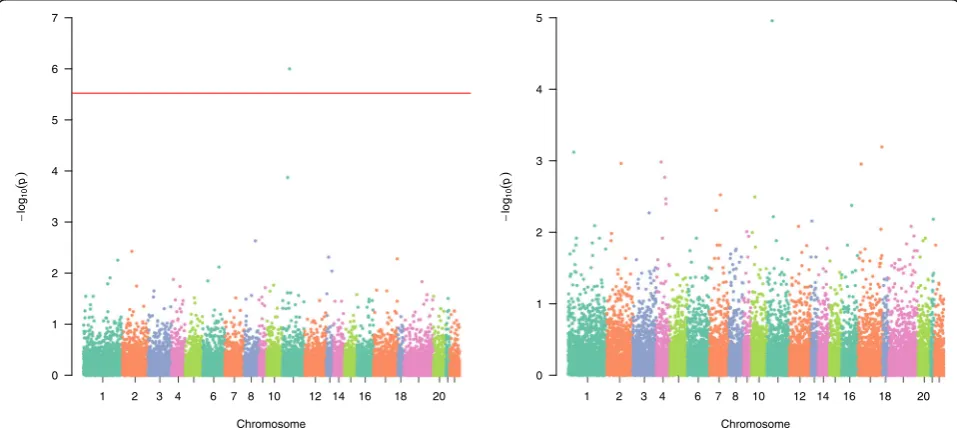 Fig. 1 Manhattan plots of aSPUw with the inverse standard deviation weight(right)pﬃﬃﬃﬃﬃﬃﬃﬃﬃﬃﬃﬃﬃﬃﬃﬃ ðωj ¼ 1=varðGijÞÞ (left) and aSPU with a constant weight (ωj = 1) applied to the GOLDN study data