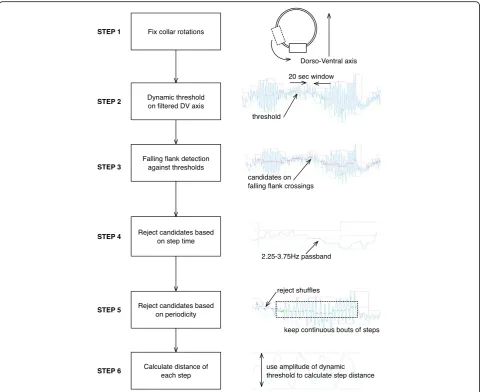 Fig. 3 Flow diagram highlighting individual process stages of the algorithm for step counting