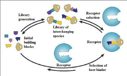 Figure 1.7: Diagram illustrating the concepts behind dynamic combinatorial chemistry and 