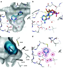 Figure 1.16: Binding mode of aminopyrimidine fragments in Hsp90. (a) The crystal structure 