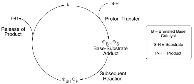 Figure 1.1: Bifunctionality of Takemoto’s Thiourea Catalyst 13 
