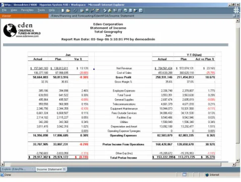Figure 7. Hyperion Financial Reporting: Sample Report 